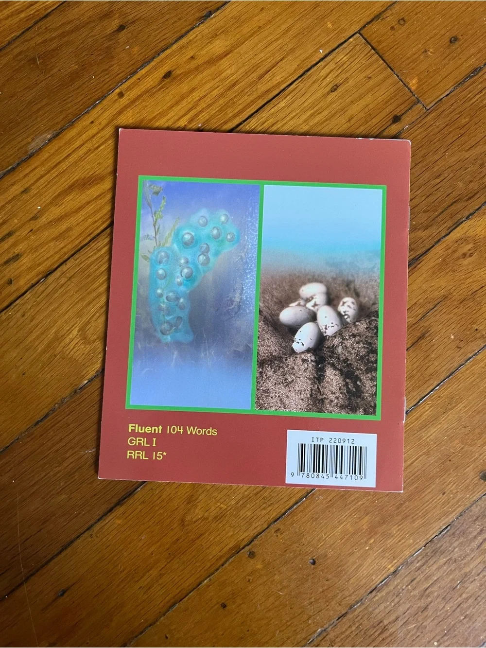 Lizard or Salamander? - Blue Cover Reptile Book by Ryan Durney